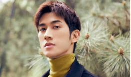 李治廷演过的电视剧,从古装传奇到现代都市，精彩剧集大盘点