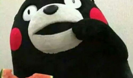 沉香吃瓜爆料图片表情包,揭秘娱乐圈幕后风云